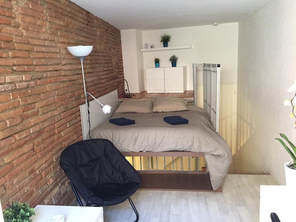 Le Petit Moulin, Duplex Hypercentre Toulouse Apartamento Exterior foto